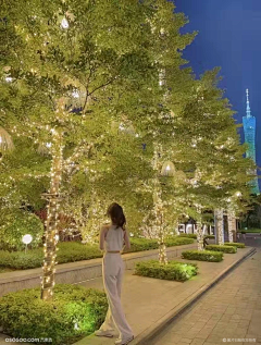 V涅槃V采集到绿化照明