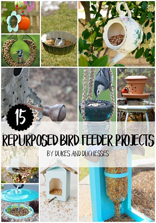 15 repurposed bird f...