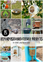 15 repurposed bird feeder projects