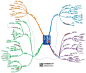 思维导图应用公开课的照片 - 微相册