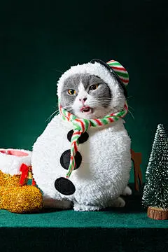 点击来源直接获取大图文件 |cute british shorthair cat with Christmas snowman dress on green background vertical composition