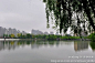 春之上海：雨中的大宁灵石公园（上）, 东海边的蚬子旅游攻略