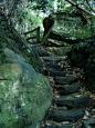 Rock Stairs, The Appalachians
photo via frolicing