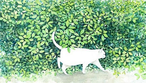 东京插画师山田绿的猫咪插画