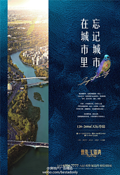 筹瘦采集到背景
