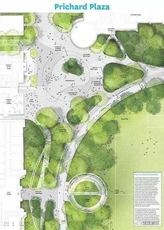 landscaping the gard...