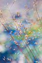 Withinfinite on Behance