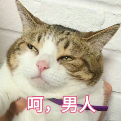 千前浅倩采集到有趣