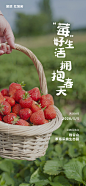 草莓采摘活动海报