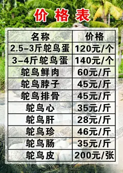 鸵鸟价目表 【酷图网】鸵鸟,鸵鸟背景墙,鸵鸟海报,鸵鸟简介,鸵鸟包装,非洲鸵鸟,鸵鸟营养价值,鸵鸟养殖,鸵鸟商品,鸵鸟广告,鸵鸟宣传图,鸵鸟蛋,鸵鸟肉,鸵鸟皮,鸵鸟产品