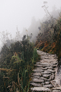 石头足迹路径排行在高秘鲁的灰色叶子
