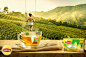 Lipton Green tea - a taste of relaxing life : Lapiton new Compaign " Let them know... That Angels are between roses and you! #comicbook #deadpool #superheroes #ironman #hulk #thing #magneto #nightcrawler #colossus #nick fury #gambit #hawkeye #avenger