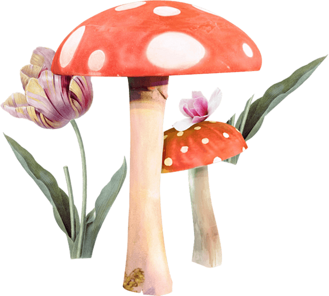蘑菇、点缀、png植物
