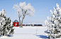 俄亥俄的冬日农庄。 摄影：R.A.Durfee。美国，俄亥俄州，Willard。