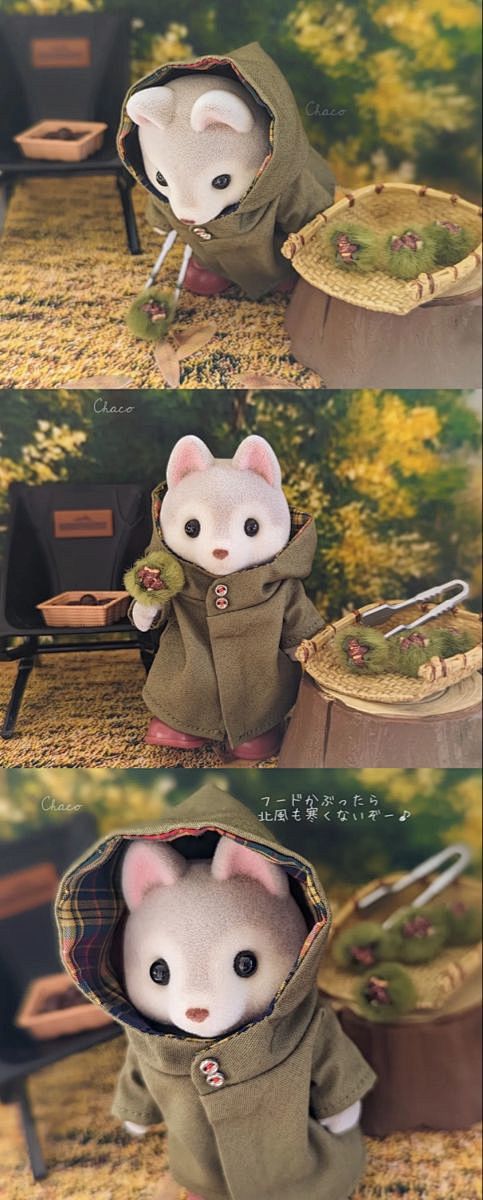  Ｃｈａｃｏ ちゃーこ