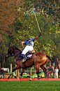 polo by Saleem Khan Baloch on 500px