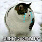 怎么才能委婉的形容一个胖子？"
“宽厚。"
“嗯？"
“站着比别人宽，躺着比别人厚。“ ​​​​