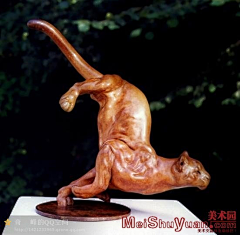 ♚张宇腾👑采集到动物
