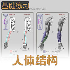 蟹老板爱吃鱼采集到基础训练(结构)