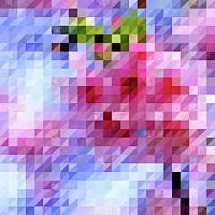 粉色,仅一朵花,华丽的,热,计划书,几何形状,简单,壁纸,植物群,现代