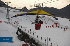 蜜桃酱采集到想去滑雪了