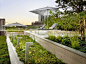 美国屋顶花园景观设计案例欣赏 - 知末全球案例