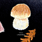 油画棒 蘑菇_蝉发发的插画作品_涂鸦王国_原创插画平台