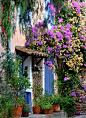 #庭院# #花园# #田园#
Floral Entry, Grimaund, Provence, France