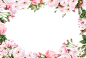 花团锦簇