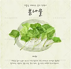 手绘水彩PSD分层插画 蔬菜芹菜香菜青菜白菜野菜蒜苗复古背景素材-tmall.com天猫