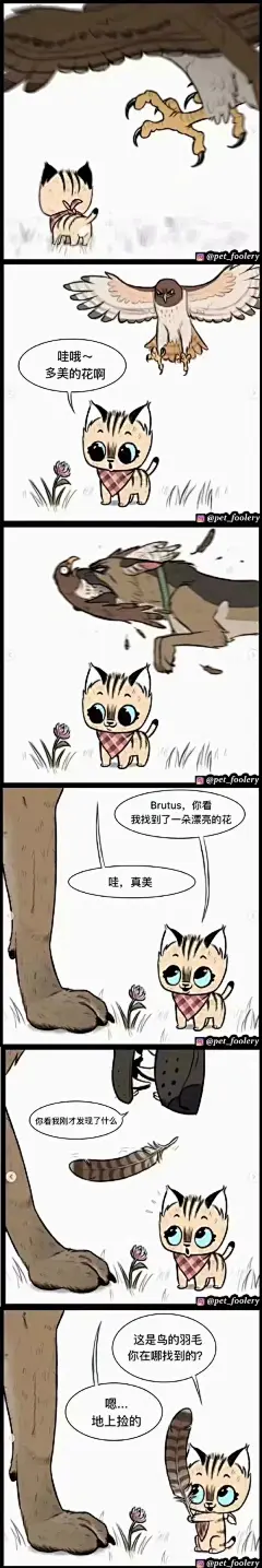 【图片】#漫画# 役军犬和小猫咪的漫画，最后一张是据说原型，超级可爱了，简直被暖哭了[心]#动漫# 【动漫资深迷妹吧】_百度贴吧