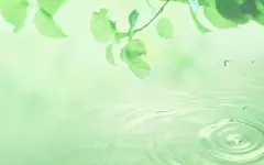 清爽初夏绿色植物桌面高清壁纸桌面壁纸2