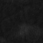 毛发贴图皮毛动物皮毛贴图高清无缝贴图【来源www.zhix5.com】 (31)