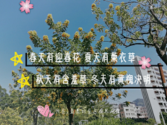 微凉*初夏采集到撸起袖子自己干(ง •̀_•́)ง