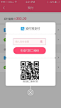 扫码支付弹窗