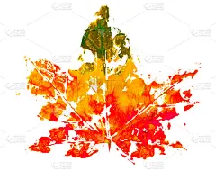 水粉画剪影红橙黄绿秋叶剪影印。一个斑点设计元素对象孤立在白色背景上。用于秋季节日贺卡、海报、请柬等