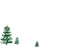 手绘雪松松树PNG免抠素材