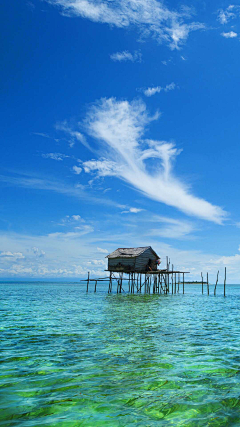 -芒果采集到背景