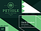 Petiole 