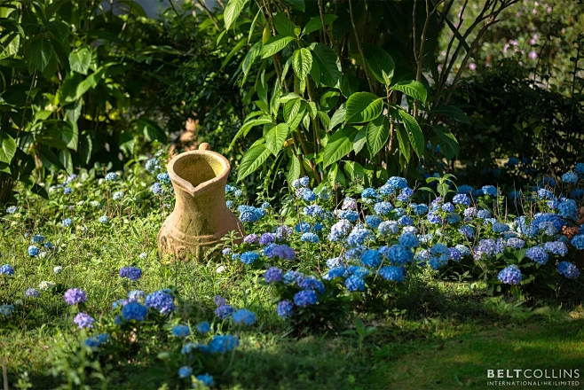 山色迷人，艺境共生：梅州雁山湖国际花园度...