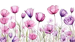 点击来源直接获取大图文件 |用于婚礼请柬、问候语、壁纸、时尚及印刷品的粉紫色郁金香水彩画