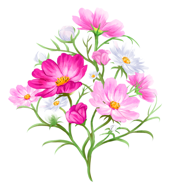 手绘粉色格桑花鲜花树叶免抠__PNG：