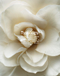 Typology.com (@typologyparis) · Instagram 照片和视频