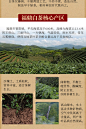 小师姐评茶福鼎白茶贡砖老寿眉2015巧克力形砖茶100g枣香白茶-淘宝网