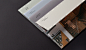 Top Creative Work On Behance : Showcase and discover creative work on the world's leading online platform for creative industries.