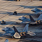 F - 22 猛禽