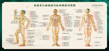 中医经络穴位艾灸图