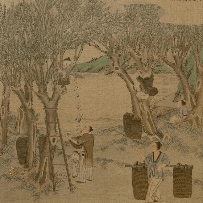 文化 《耕织图》，世界第一部农业科普画册（下）_蚕茧_古代_中国