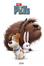 #电影# #海报# #人设# #素材# #动画# #爱宠大机密# #The Secret Life of Pets# #宠物当家#