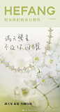 @孙何方HEFANG 的个人主页 - 微博